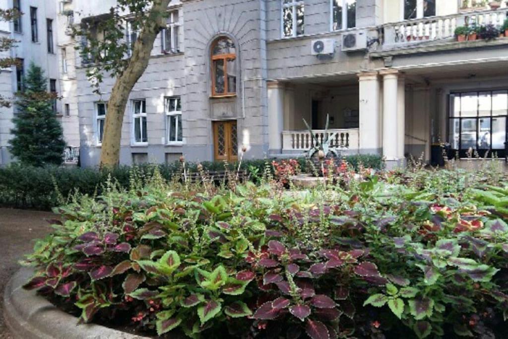 Gorgeous Flat Right Near The City Center Будапеща Екстериор снимка